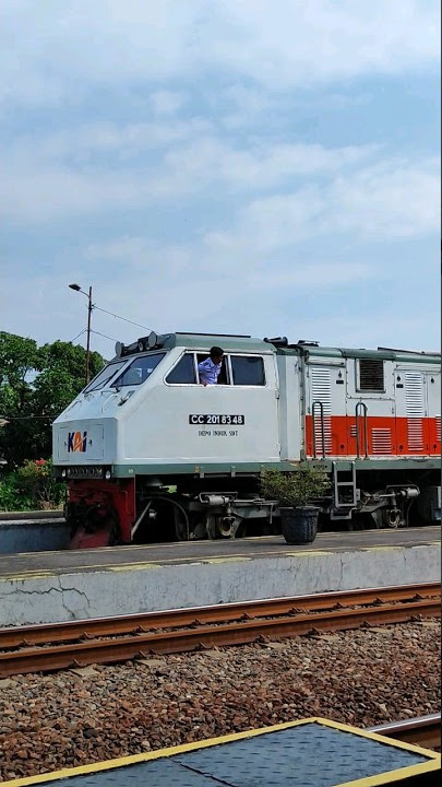 HORNSOUND CC 201 83 48 SDT 🔊🔊🔊