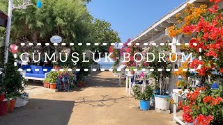  4K Vi̇deo I Gümüşlük I Bodrum Sahilde Yürüyüş