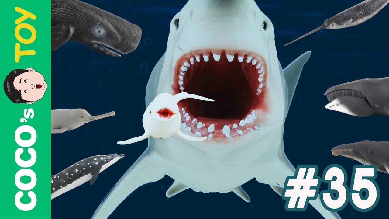 [EN] Whales in the Toy gift box, Collection vol.4 (Alive whale toys in my dream) 장난감 고래 선물상자