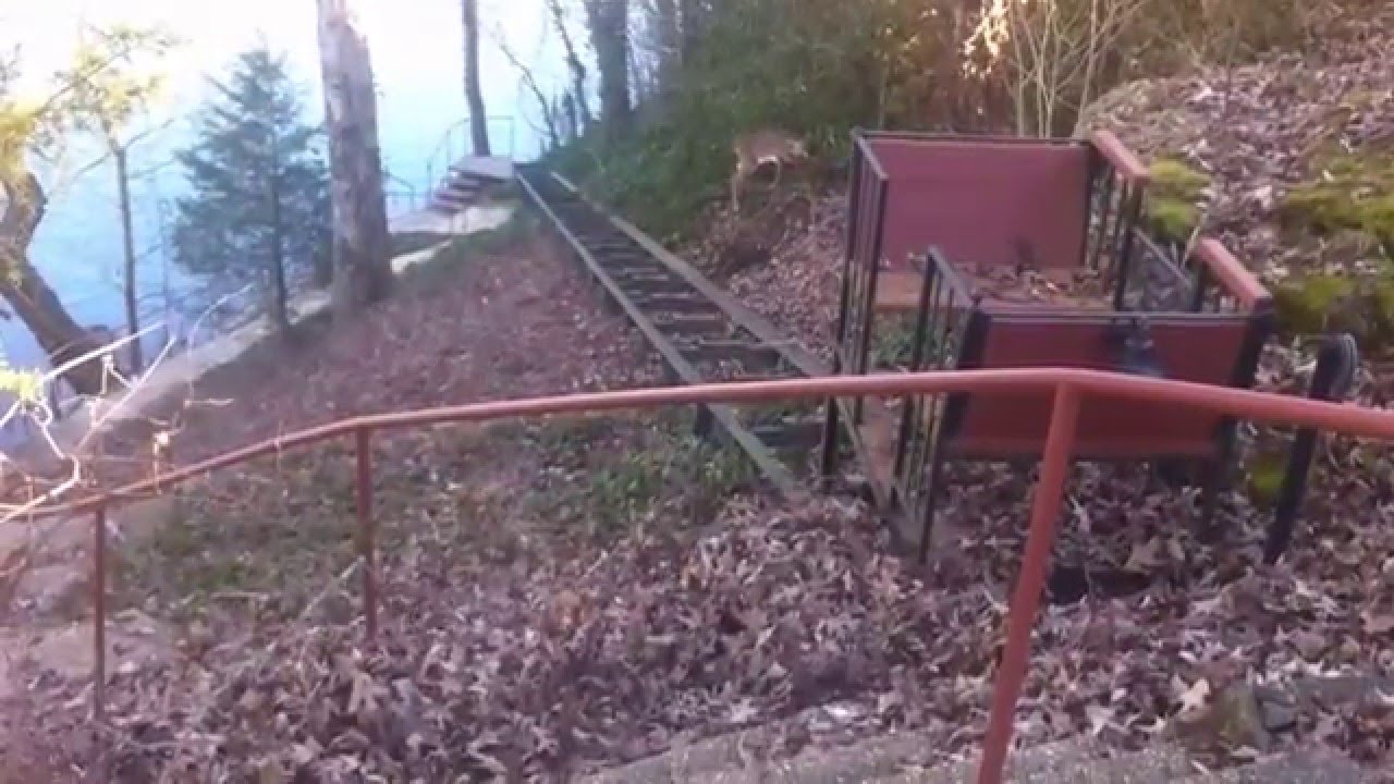 Deer (Buck) watches Lawn Care Company blow leaves!  GrassMaster Lawn Service - Poplar Bluff, MO