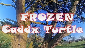 Caddx Turtle v2 (yellow screen fixed) 🐢  Turbo Eye Lens 🐢 FPV FREESTYLE CLIP
