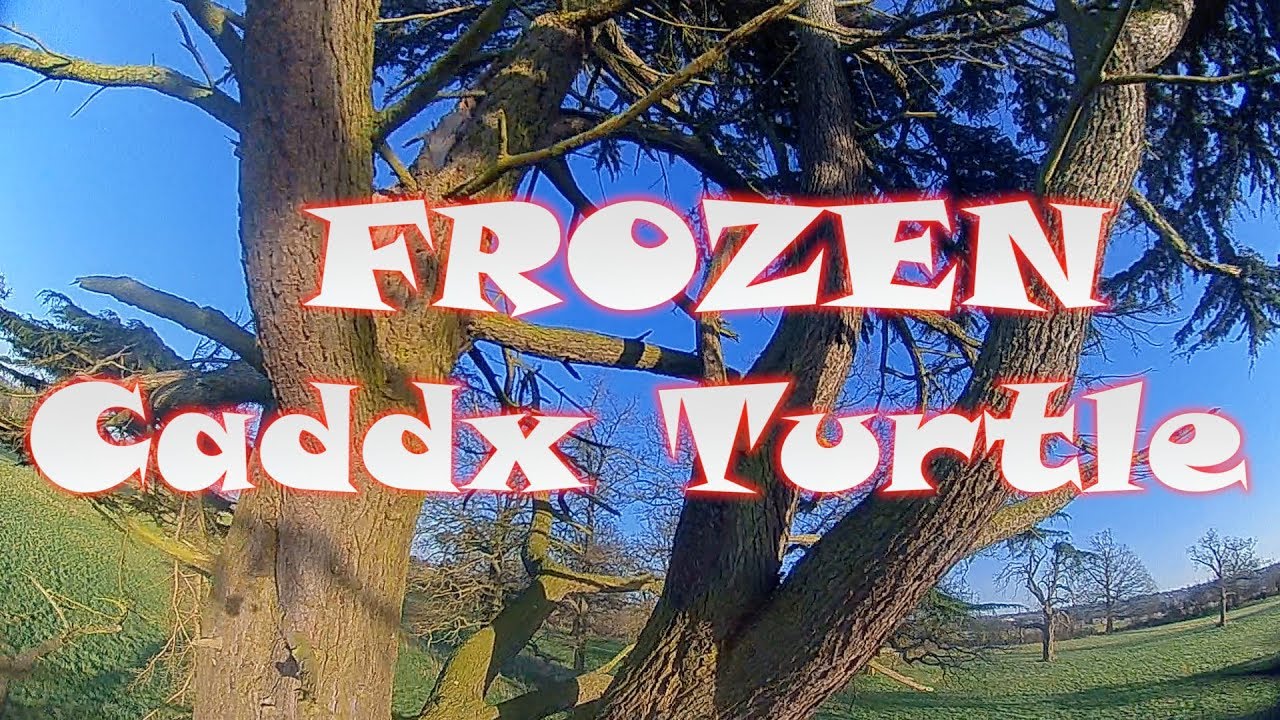 Guarda Caddx Turtle v2 (yellow screen fixed) 🐢 Turbo Eye Lens 🐢 FPV FREESTYLE CLIP su YouTube Guarda Caddx Turtle v2 (yellow screen fixed) 🐢 Turbo Eye Lens 🐢 FPV FREESTYLE CLIP su YouTube