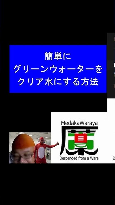 めだか藁屋