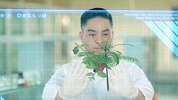 TPCN   Giải độc gan Tuệ Linh