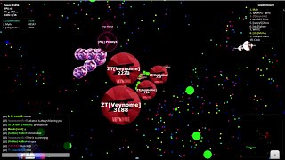 Gota.io - Pro Splitrun and Epic Autofeed