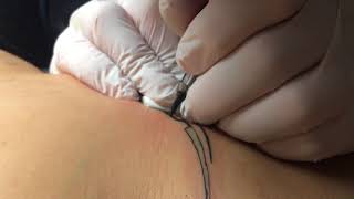 Tatouage Shop Dermogun