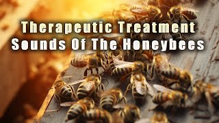 Beehive Harmony: Healing Sounds of Buzzing Bees
