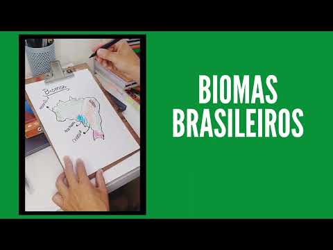 MAPA DOS BIOMAS BRASILEIROS - DESENHADO