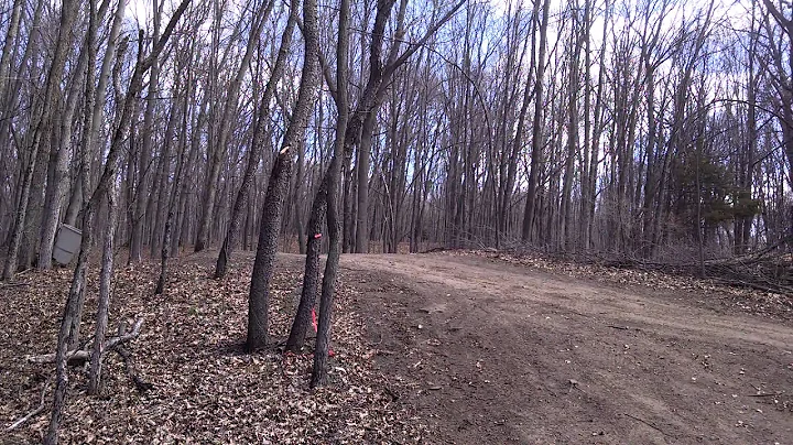 Ron Fraley Jr ripping with the Honda 450R