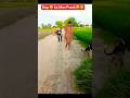 Dog Ka Man Prank😂 #jamsheiifun #funny #funnyfacemask #funnyanimal #funnydog