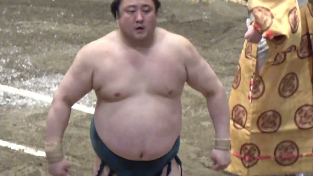 ジャスミンです。佐田の海 朝乃山 YouTube