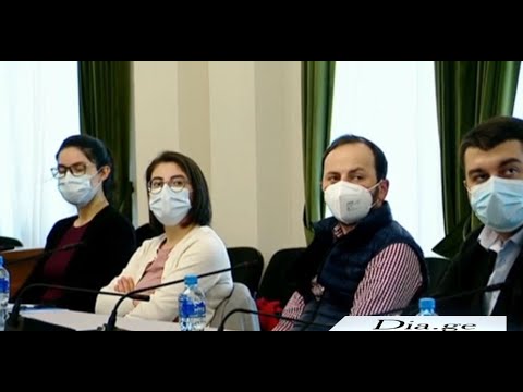 „ლელო - პარტნიორობა საქართველოსთვის“ წევრები არასამთავრობო ორგანიზაციებისა შეხვდნენ 27.01.2022