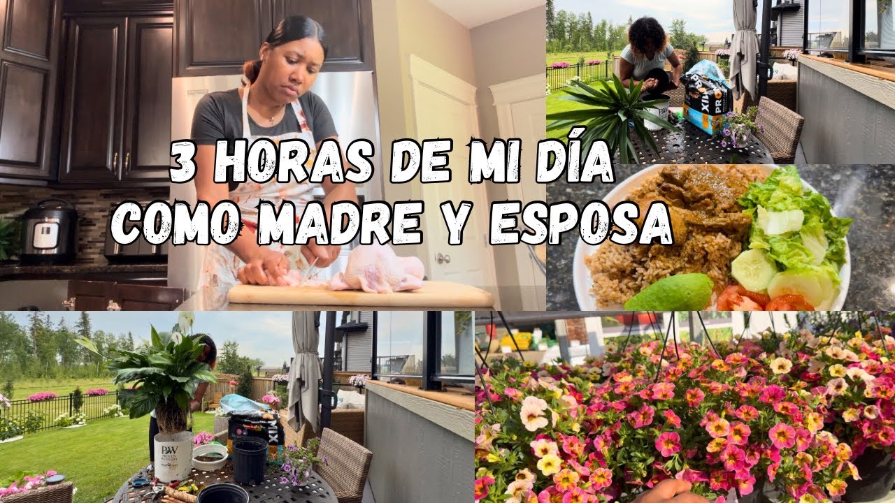 Comida rápida. Vamos al jardín por plantas para el interior y más para el exterior. Mis pimientos 😍