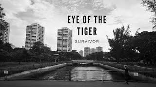 Video thumbnail of "Eye Of The Tiger - Survivor (Acoustic Cover)"