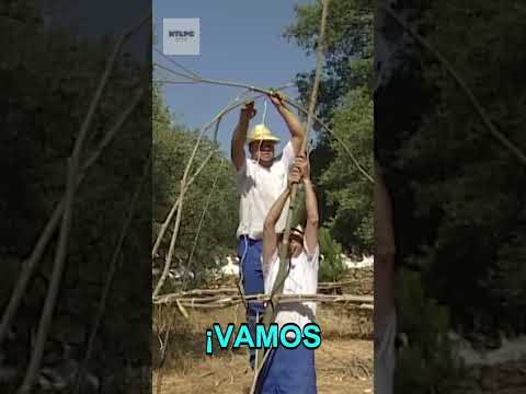 Sobrevivir con sabiduría