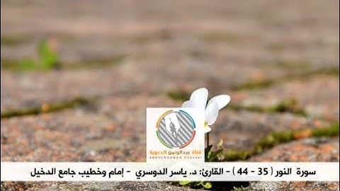 تلاوة في غاية الروعة l للشيخ: د. ياسر الدوسري l ما تيسر من سورة النور