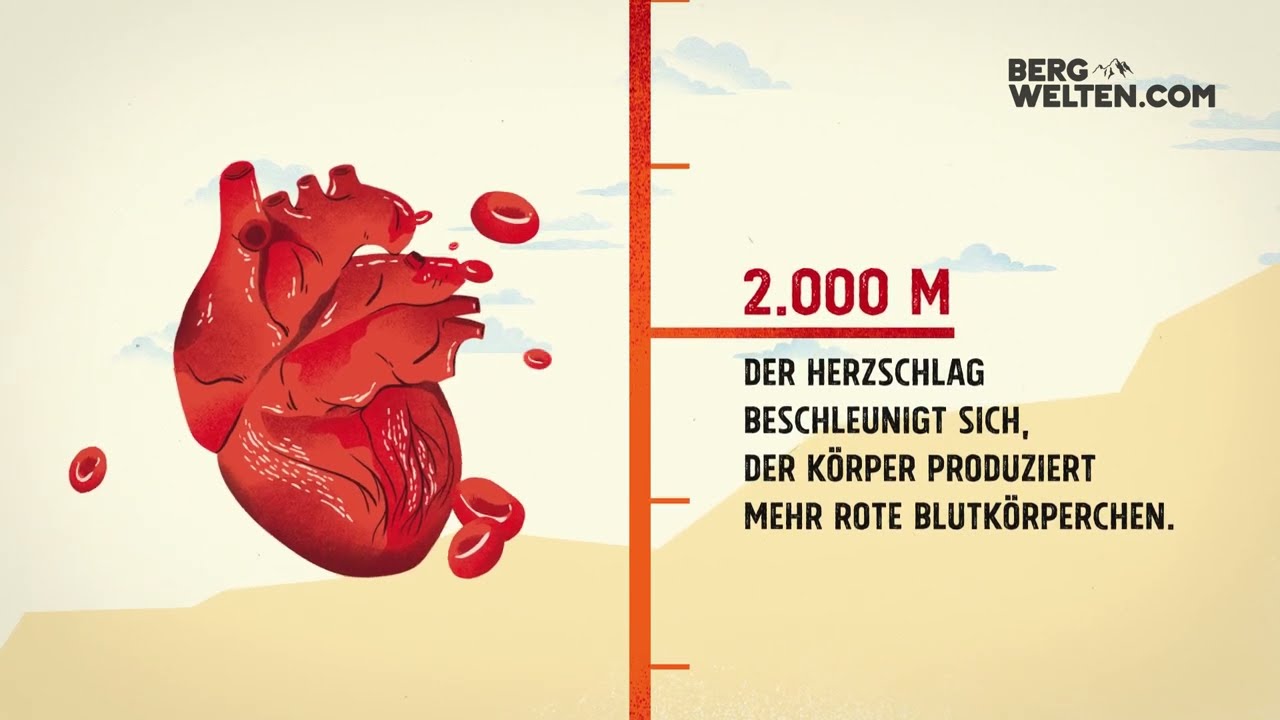 Arbeiten in 175 m Höhe - drehscheibe | ZDF