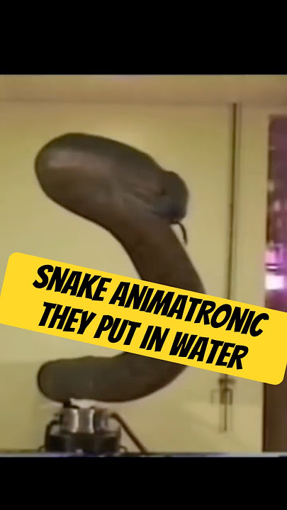 Anaconda Snake Animatronic Part 2  #animatronics #submechanophobia #snake #snakes #horrorshorts