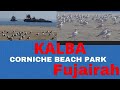 Kalba corniche park fujairahfujairah beachlife with nasir