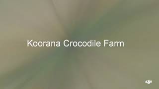 Koorana Crocodile Farm! DJI spark