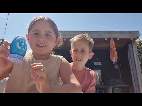 De grote unboxing van de pet 