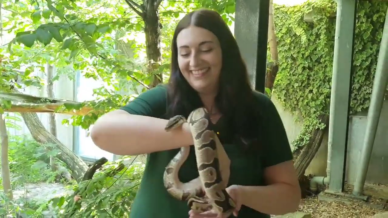 JULIA'S ZOO NAH DRAN 🤩👑🐍 Folge 10: Der Königspython