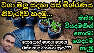 How to make soil mixture | බඳුන්ගත වගාව සදහා ‌පස් මිශ්රණය සාදා ගැනීම | grow bag soil mixture