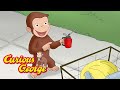 George Fixes a Bike 🐵 Curious George 🐵 Kids Cartoon 🐵 Kids Movies