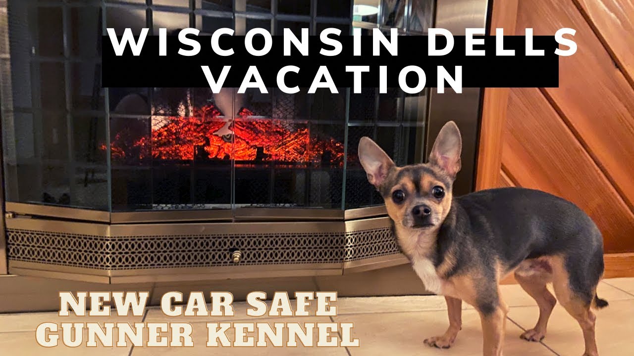 Wisconsin Dells Vacation!! Safe New Gunner Kennel!! YouTube
