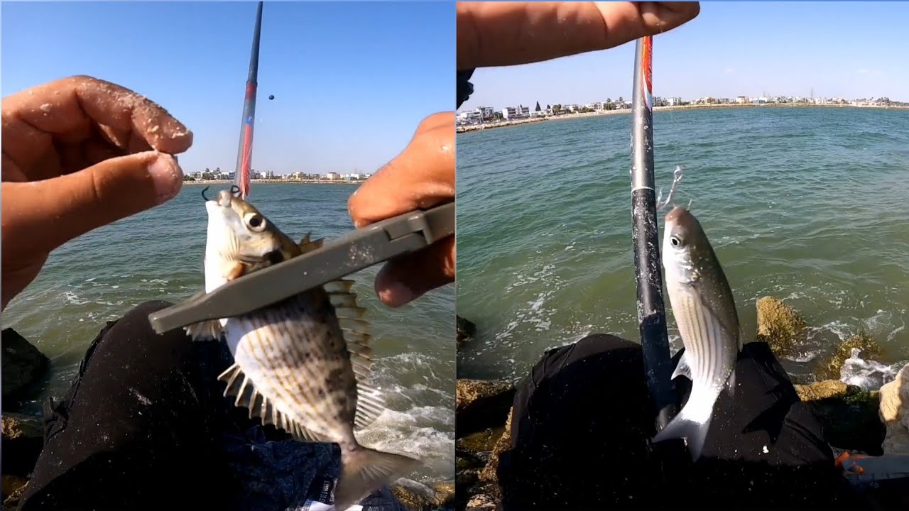 En Kolay Kefal ve Sokar avı...Masrafsız kıyıdan pratik balık avı 