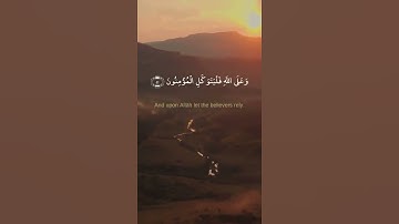 قل لن يصيبنا إلا ما كتب الله لنا- القارىء عبدالوهاب طاهر لطيف حالات واتس اب دينية قصيرة قران كريم