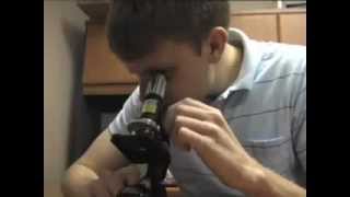 Carson Optical-Zorb Digital Microscope With An Integrated Camera