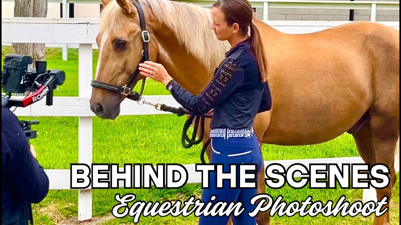 Equestrian Photoshoot! Ashley models new breeches & equestrian shirts w/ Elena Dotoli Photography 📸🐴