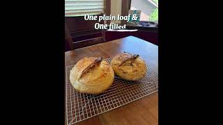 Sourdough bread - cream cheese and everything bagel in