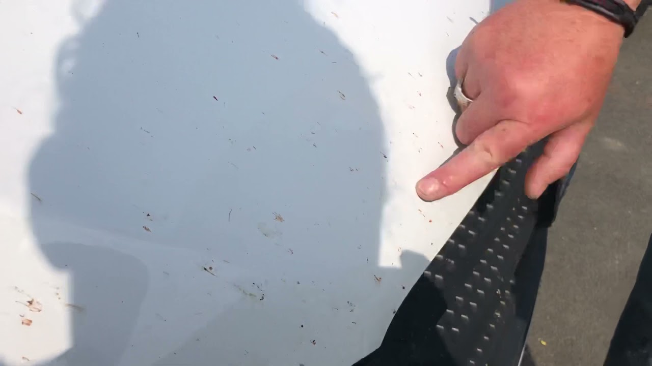 Enlever les moustiques, moucherons sur votre voiture - YouTube