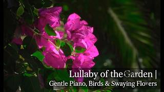 Lullaby of the Garden   Gentle Piano, Birds & Swaying Flowers screenshot 1