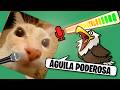 PONIENDO SONIDOS A LOS ANIMALES CON MI VOZ XD|  My Voice Zoo