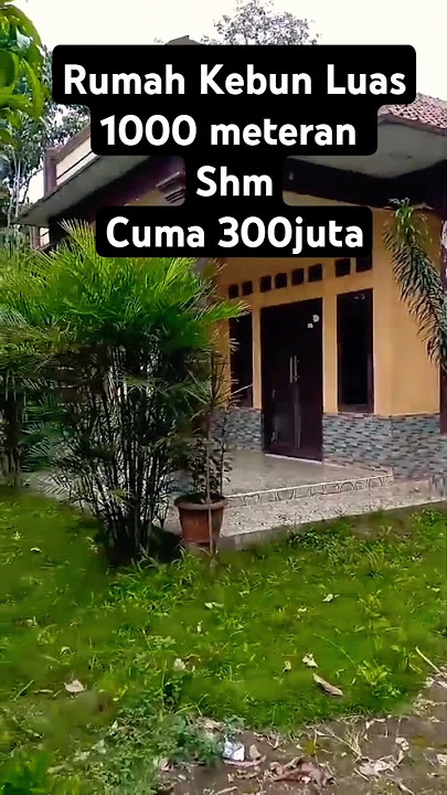 Terjual Rumah Murah Halaman Luas 1126meter Akses Mobil SHM Harga Rp 300 juta #shorts 081219164373