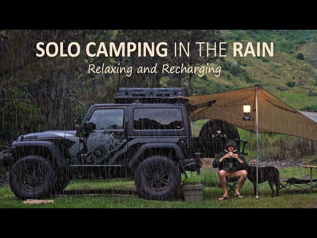 SOLO Car Camping in RAIN - Cozy Relaxing with my Dog