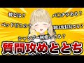 作業配信のつもりだったのに質問攻めにあうととちが可愛すぎた【小雀とと/ぶいすぽ/切り抜き】