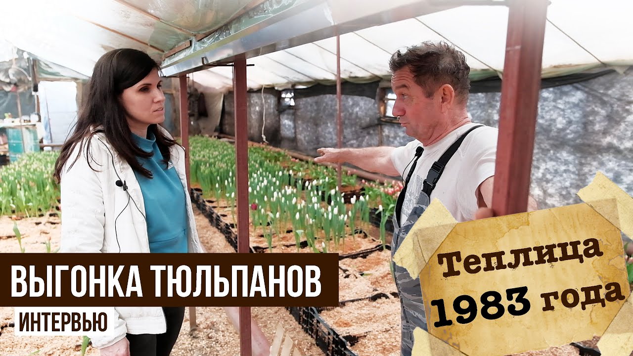 Фиат 1983 года