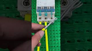 How To Connect Branch Wire #ideas #shorts #wire #connector
