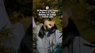 The Best Zoos in America @TripsterTravel
