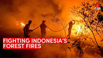Indonesia's forest fires flare up after a four-year hiatus