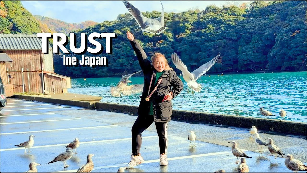 The Moment a Wild Bird Finally Decided to Trust Me