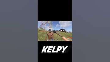 #rust #раст #shorts #rustgame #kelpy #gaming