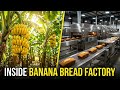Inside a Banana Bread Factory 🇺🇸 From Farm to Factory Automated Food Production Process