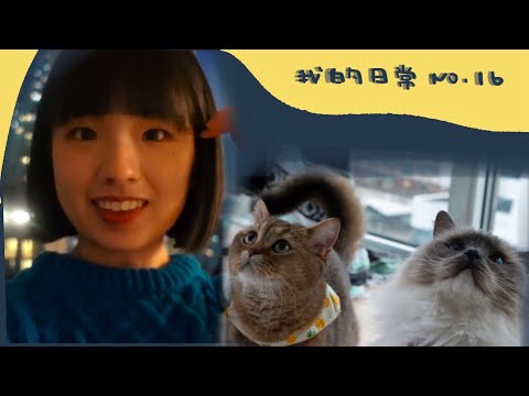 我的日常VLOG｜二猫的日子好幸福呀❤️、盐葱酱牛排盖饭🥩、剪短发啦！