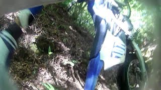 2017 604 テージャス ハイライト