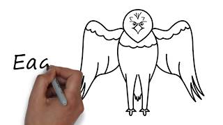 How to Draw a Bald Eagle Bald Eagle Drawing Easy Step by Step